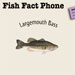 FlashAudio plays WAV & MP3 Audio files